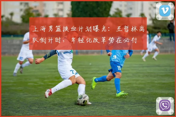 上海男篮换血计划曝光:王哲林离队倒计时,年轻化改革势在必行